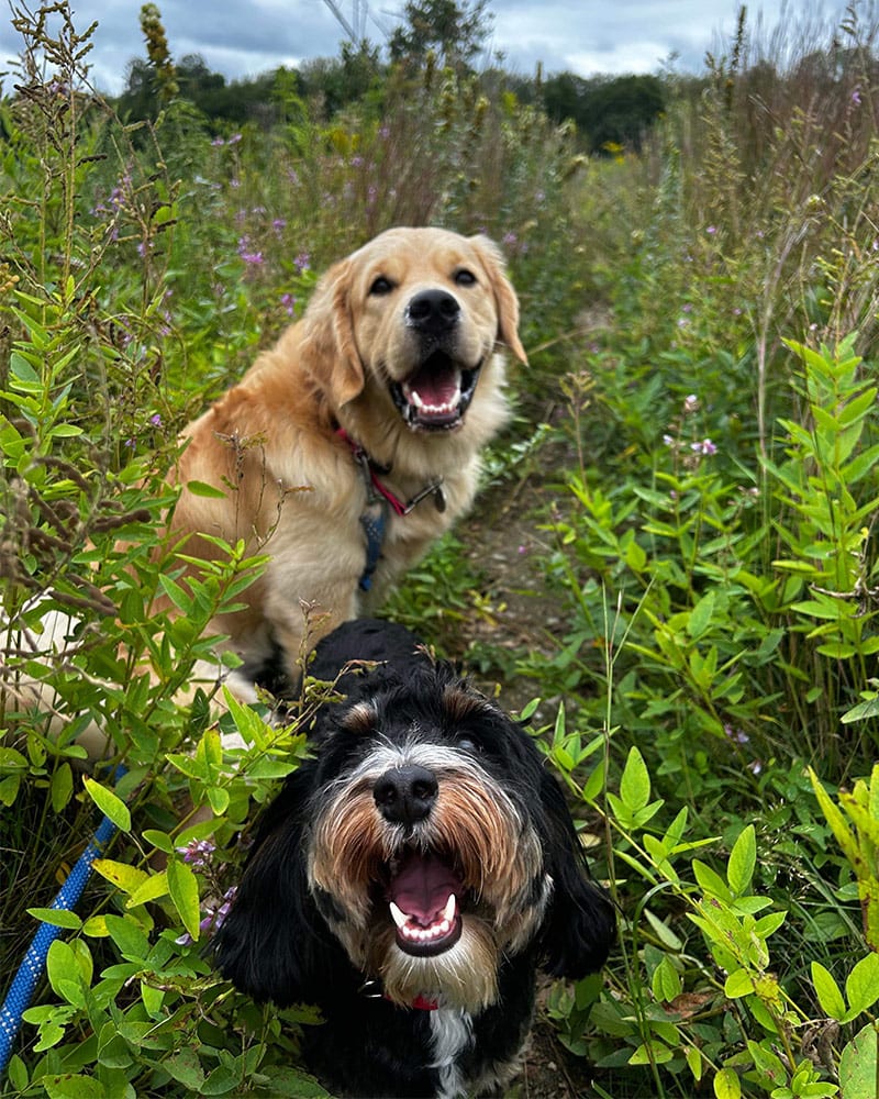 Packwalk Adventures<br />
in Plympton, Halifax, Kingston, Hanson, Carver and Middleboro, MA