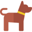 dog daycare